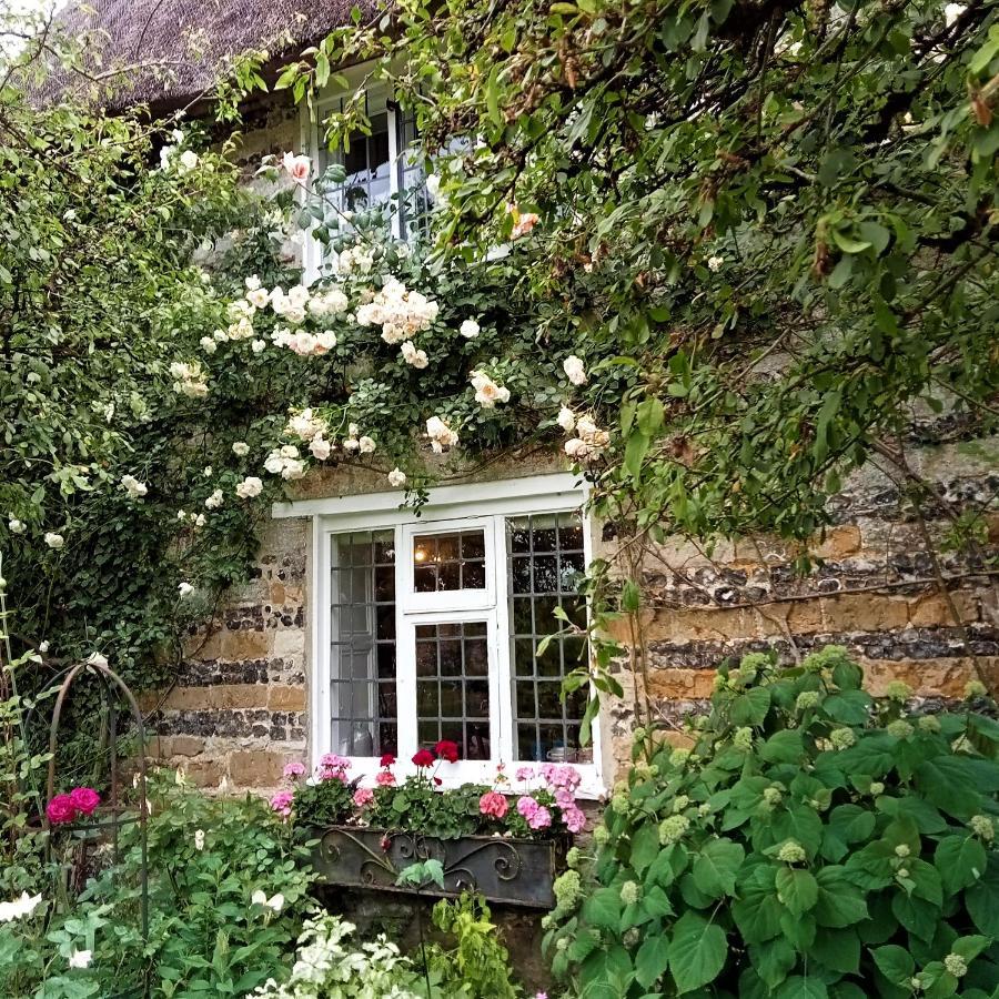 Tudor Cottage B&B Frampton Dorchester Esterno foto