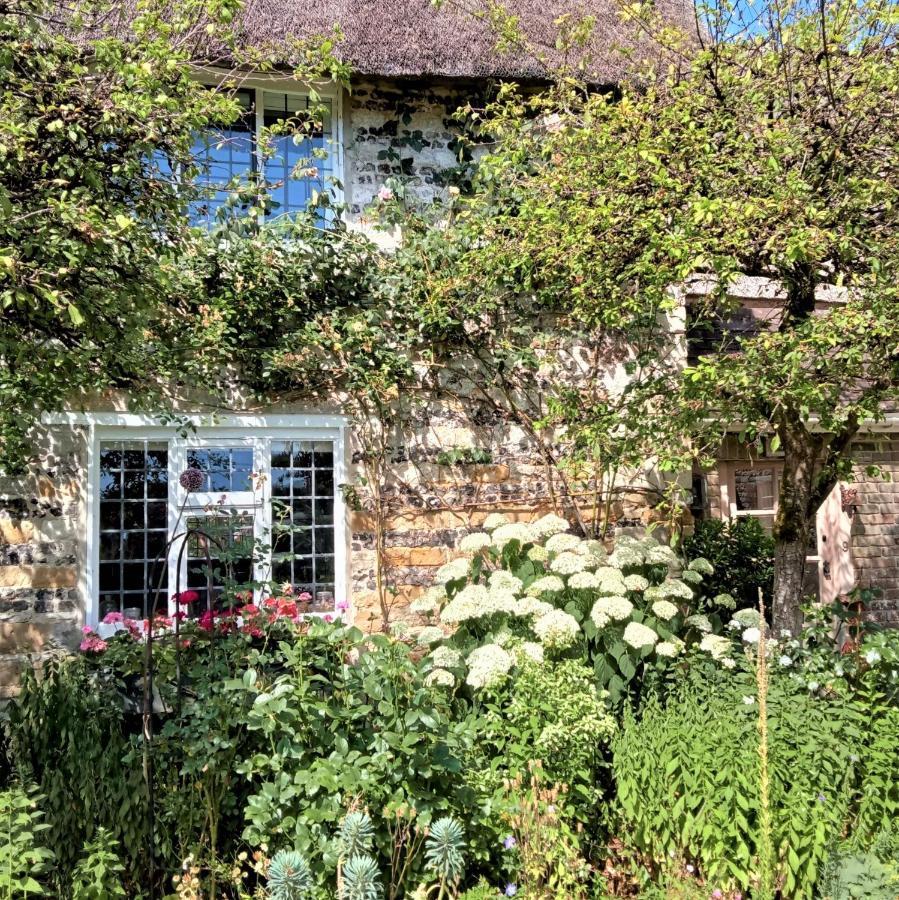 Tudor Cottage B&B Frampton Dorchester Esterno foto