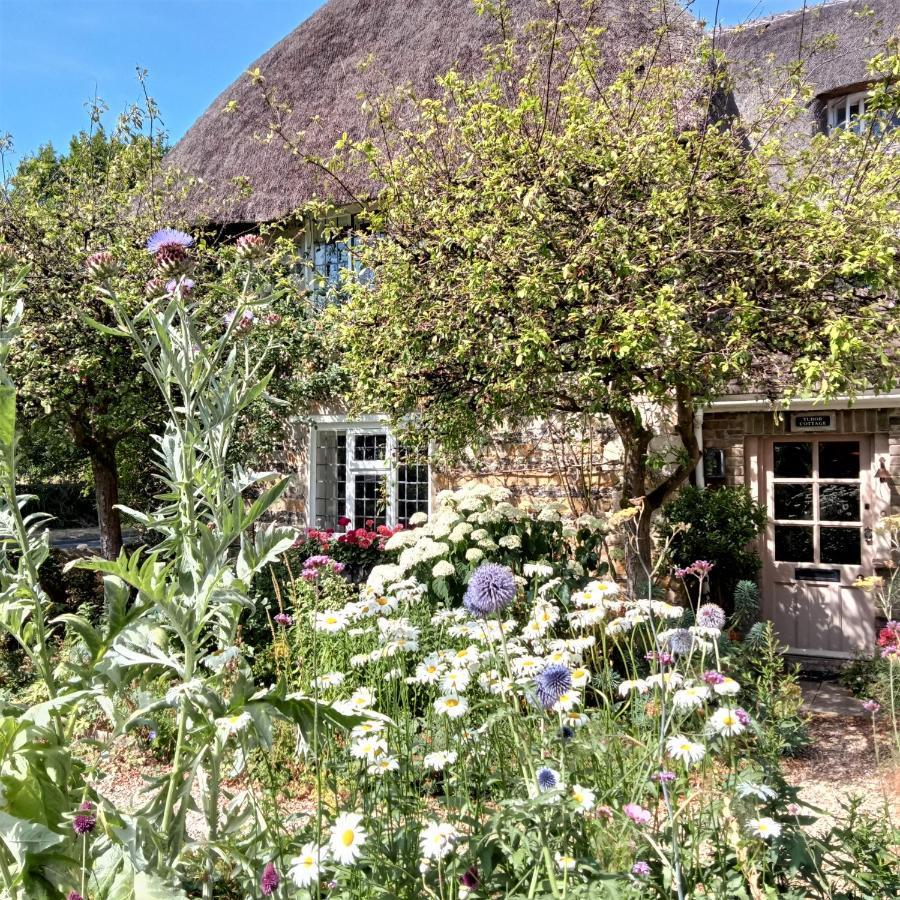 Tudor Cottage B&B Frampton Dorchester Esterno foto