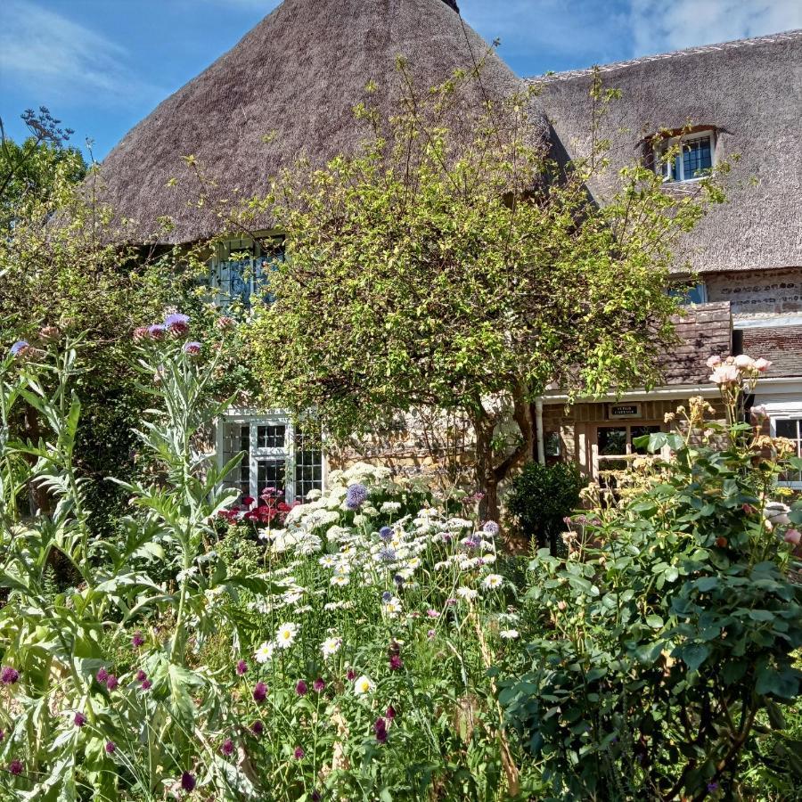 Tudor Cottage B&B Frampton Dorchester Esterno foto