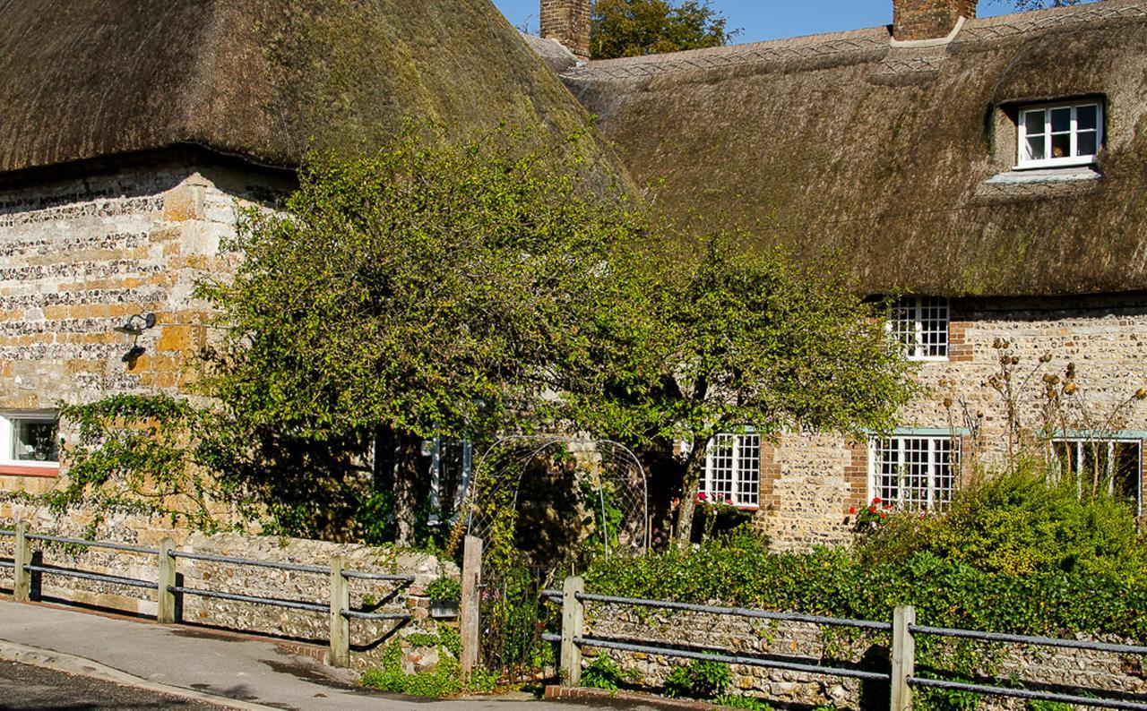 Tudor Cottage B&B Frampton Dorchester Esterno foto