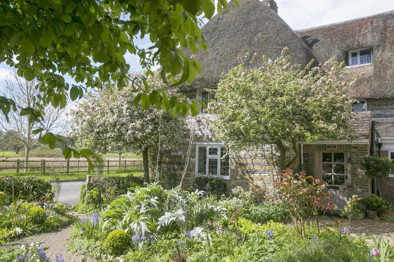 Tudor Cottage B&B Frampton Dorchester Esterno foto